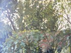 Foto 6 di 17