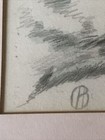 Foto 7 di 7