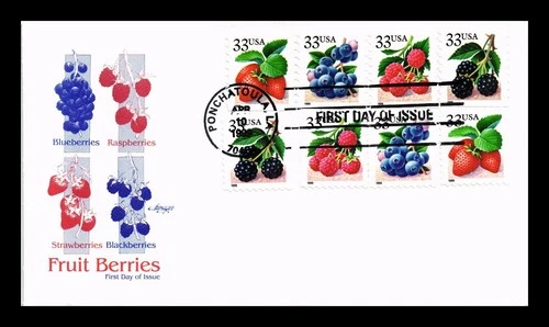 ARTMASTER US COVER FIRST DAY OF ISSUE BOOKLET FRUIT BERRIES VARIETY