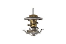 Thermostat Mercedes 240