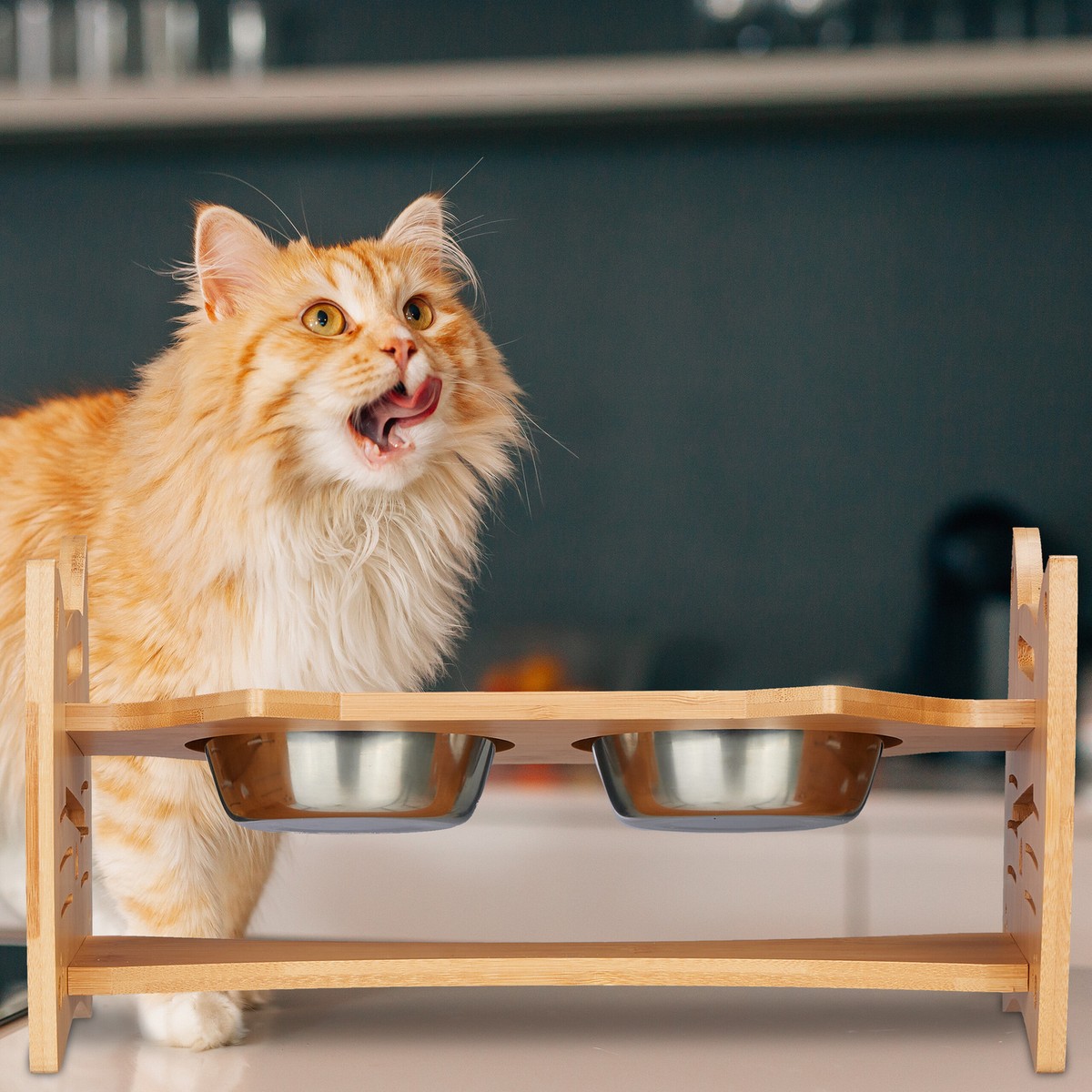 Ciotola Rialzata In Ceramica Per Cani E Gatti - Bianca, Diametro 12.5cm, Altezza 11cm