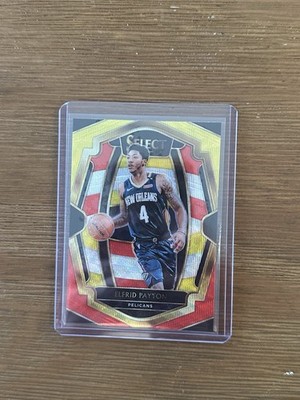 2018-19 Panini Select Premier Level Elfrid Payton Tri-Color Prizm #133