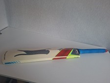 Slazenger V360 Panther Kashmir Willow Cricket Bat (CF3)