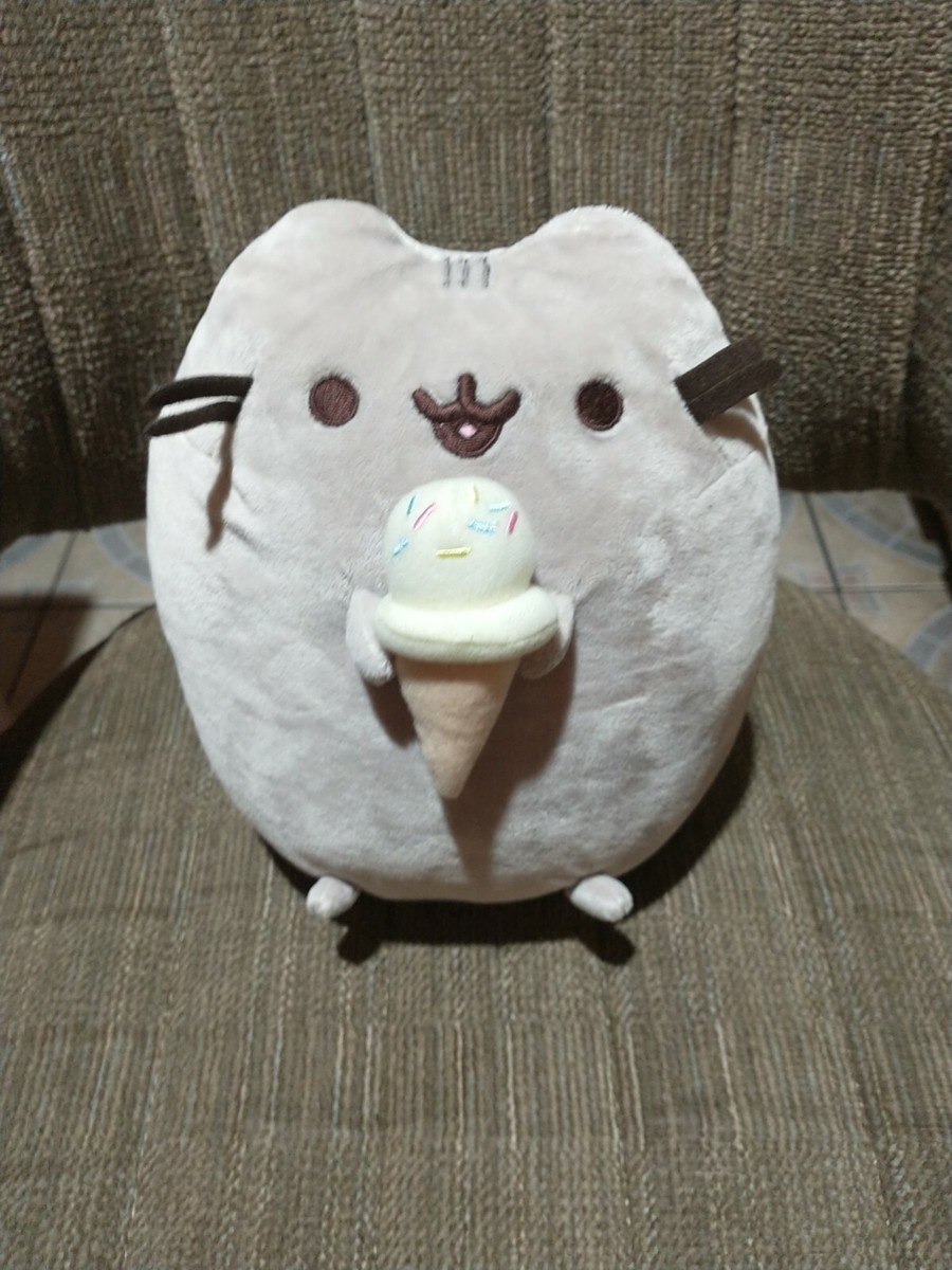 Pusheen 9