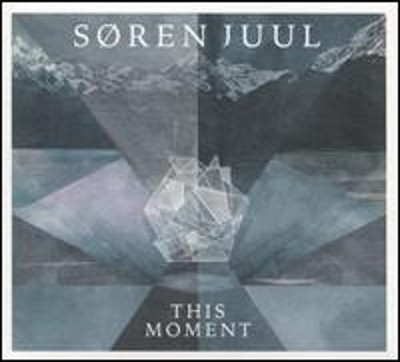 This Moment by Soren Juul: Used