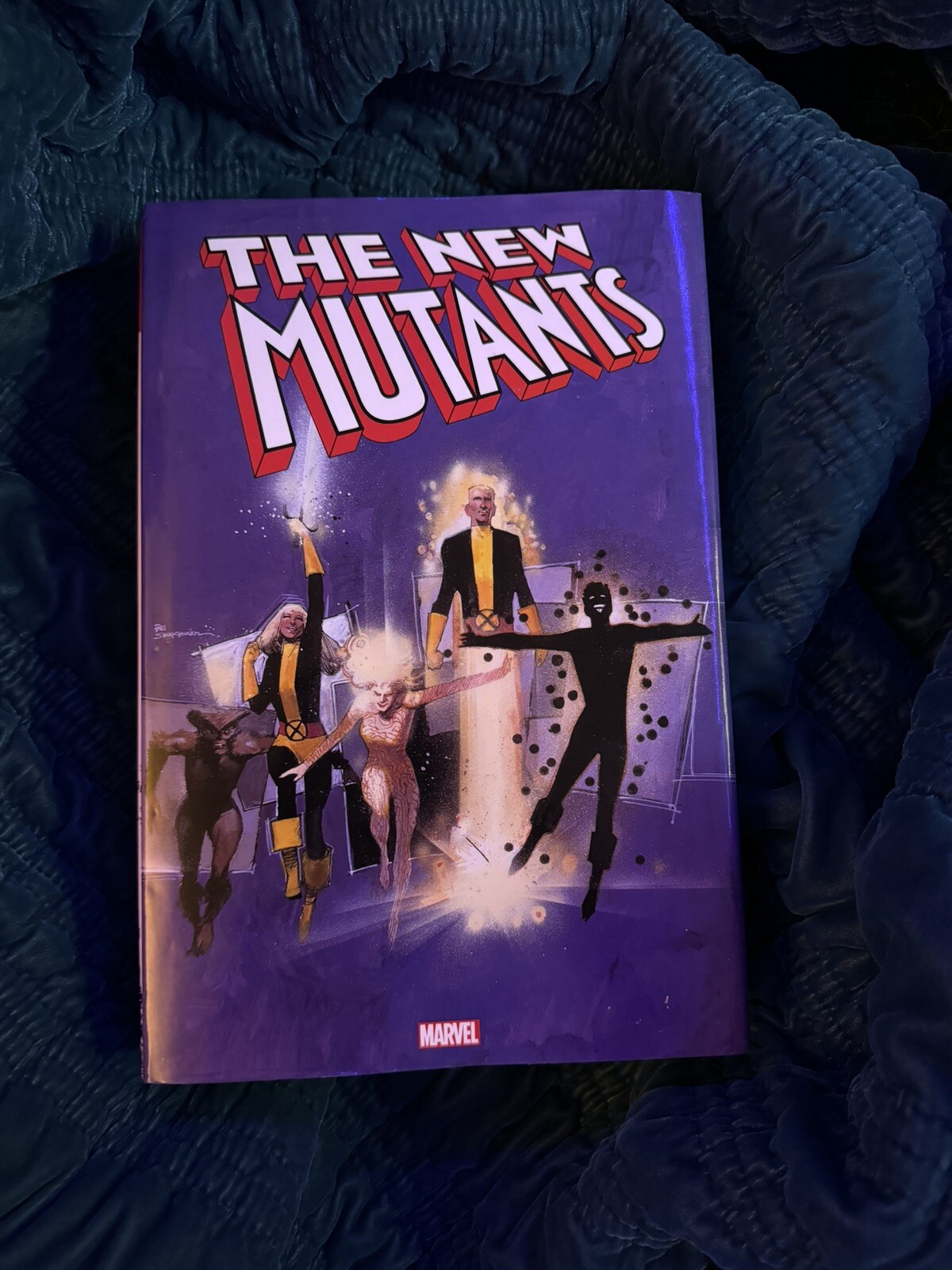 Superhero Hbo Max The New Mutants New Mutants Hbo Poster The