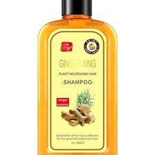 Ginger Shampoo for Hair Care   Anti-Fall, Anti-Hair Loss, 280ml   Herbal Hair Ca