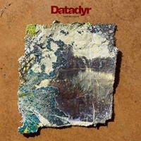 Datadyr - This We Know Random Colour Vinyl - Vinyl Record - F72Z