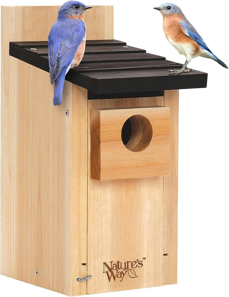 Casa Bluebird de cedro duradera con herrajes de acero inoxidable y respiraderos de aire - 12"" Foto 3 de 4