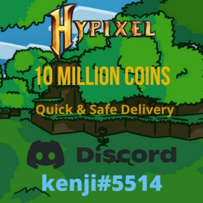 Hypixel Skyblock 10 Million Coins (Quick & Safe)