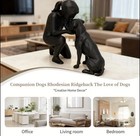 Modern Minimalist Dog Statue Home Decor | Elegant Resin Sculpture of Woman-Dog — photo 3