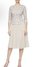 Alex Evenings Women's Tea Length Lace Mock Dress 14P