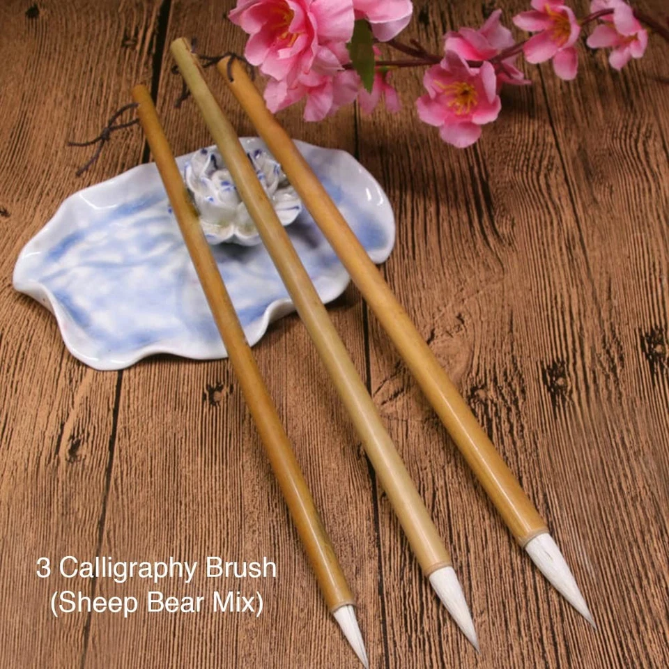 20 PCS Writing Brush Chinese Calligraphy Brush Set Kanji Japanese Sumi - Image 4 of 4