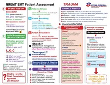 EMT Student Patient Assessment Guides - The Ultimate Reference pack  - 50 sheets