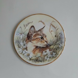 cat plate