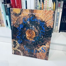 Sciami - Boatto Iovane Ceccobelli - LIMITED EDITION RAME RARO