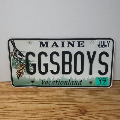 Maine 2017 Chickadee Bird Pine Cone Specialty License Plate ''GGSBOYS'' GGS BOYS