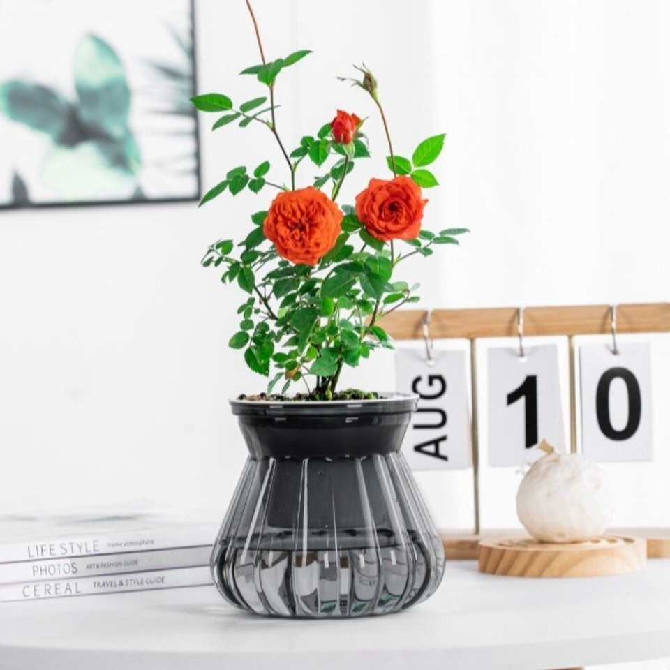 Removable Hydroponic Plants Pot Self Watering Office Bonsai Decor eBay