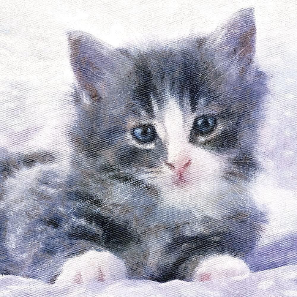 Tabby Kitten Cat Cute Sitting on a Lilac Bed Artistic Drawn Blank Greeting Card