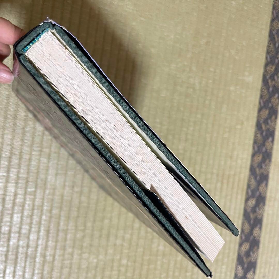 キューハイ様　TillandsiaII by Paul T. Isley III キューハイ様 TillandsiaII by Paul T. Isley III Out of print