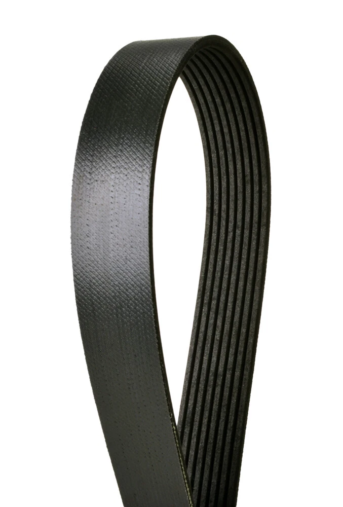 Serpentine Belt Continental Elite 4080893 | eBay