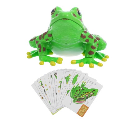  Frog Anatomy Puzzle Interactive And Fun Learning Model For Kids Safe And