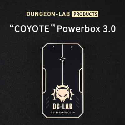 DG-LAB 3.0 Shock Themed Device APP Remote Control Power Box SM Player for Couple