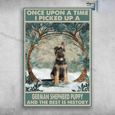 German Shepherd - Once Upon A Time, I Picked Up A German Shepherd Puppy, And ...