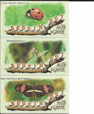 2020 Topps Allen & Ginter Buggin' Out 3 Card Mini Lot with Dragonfly NM
