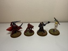 HeroScape Fiends & Vampires Cyprien Esenwein Marcu Kyntela Warden solo figure