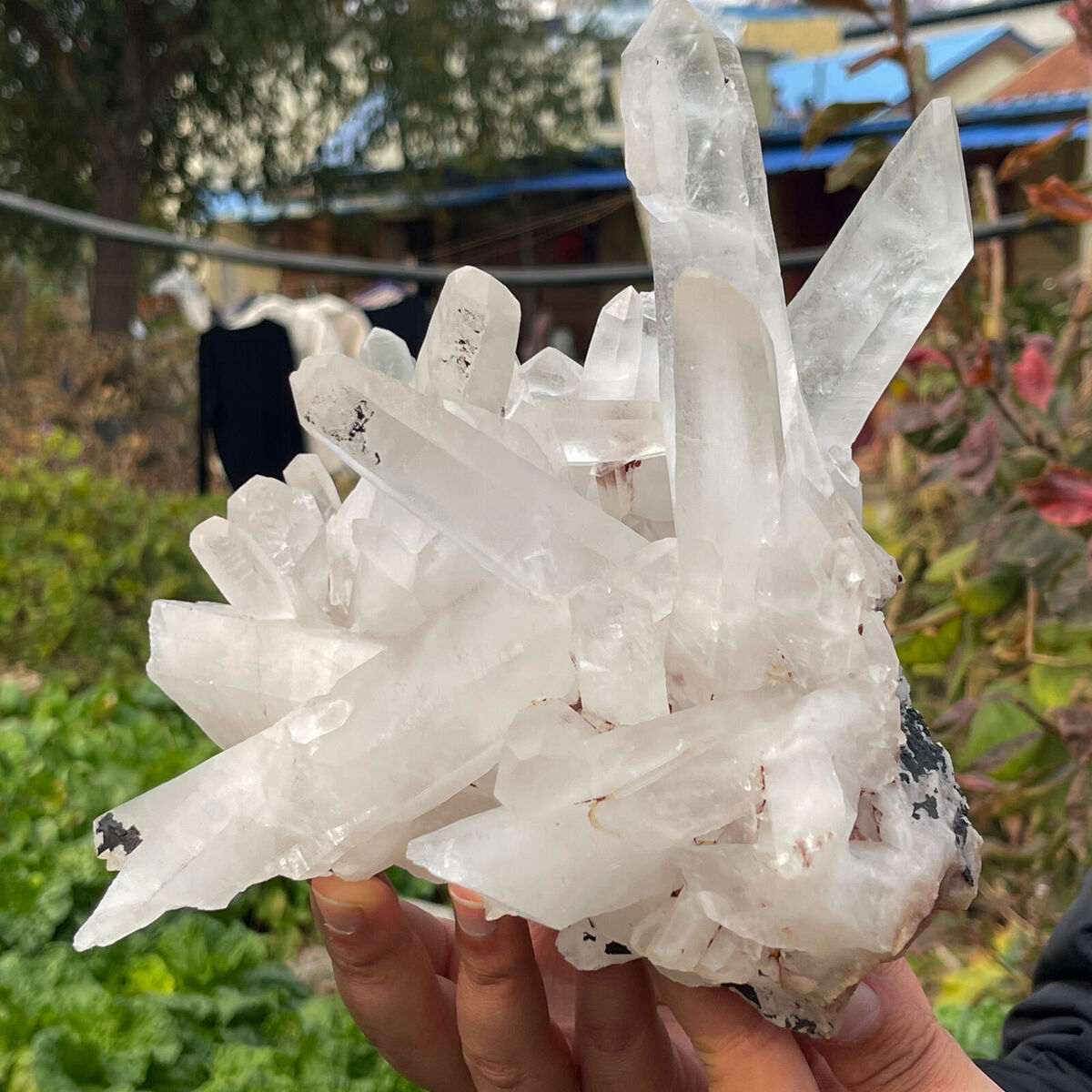 6.25LB A+++Large Natural white Crystal Himalayan quartz