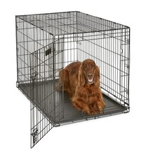 Pets 42-Inch iCrate Single Door Folding Dog Crate Divider Tray 71-90 lbs