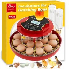 18 Egg Incubator with Automatic Turning and Humidity Control, 18 Egg-Red 