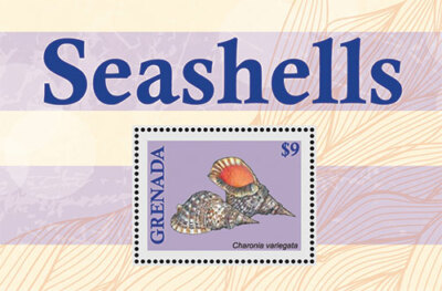 Grenada - 2013 - Seashells - Souvenir Sheet - MNH | eBay
