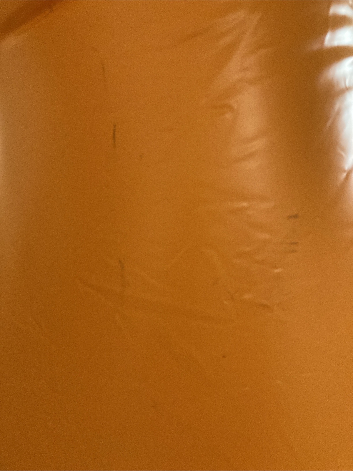 Picture 10 of 11
