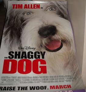 the shaggy dog 2