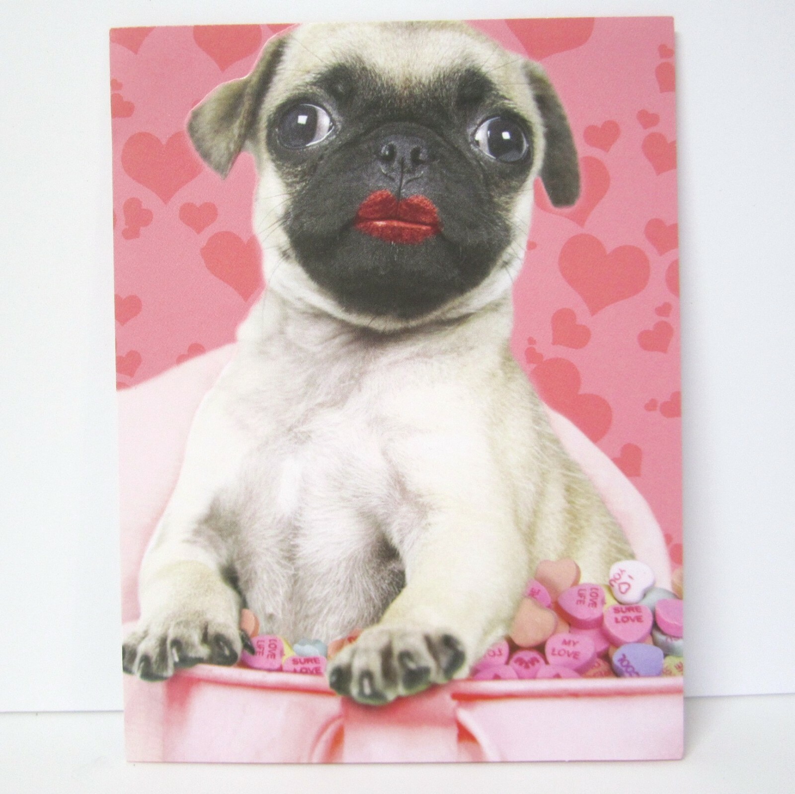 pug dog buy online
