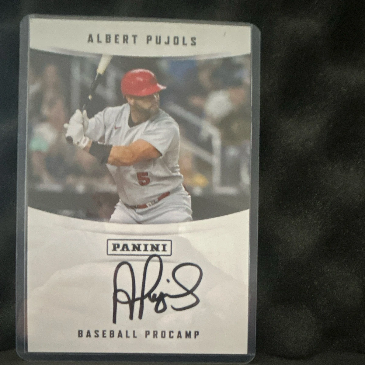 Albert Pujols Panini St. Louis Cardinals Baseball Sports Trading
