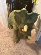kota triceratops