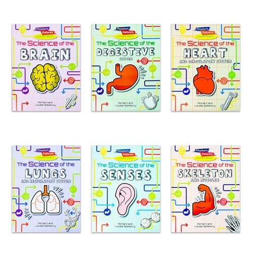 Flowchart Explorers Human Body STEM 6 Science Books Set: (Brain, Digestive, Heart, Lungs, Senses, Skeleton) - Image 12