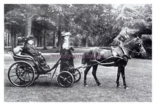 mm460 - Queen Victoria in her carriage - print 6x4