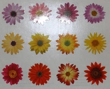 Mrs. Grossman sticker sheet You Choose - flowers floral garden spring