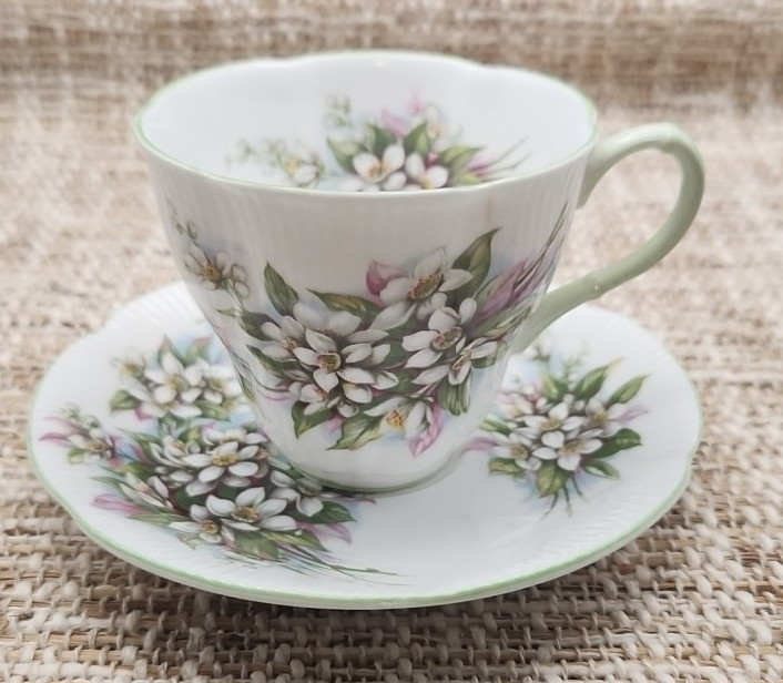 VTG Blossom Time Royal Albert English Bone China Teacup & Saucer ORANGE BLOSSOM