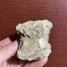 MLC s7191 Notched Flint Celt - Spade Arrowhead Arkansas Artifact