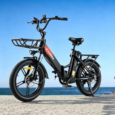 E-Bike Klapprad 20 Zoll Elektrofahrrad 20.8Ah DoppelAkku Electric Bike 55N.M 36V