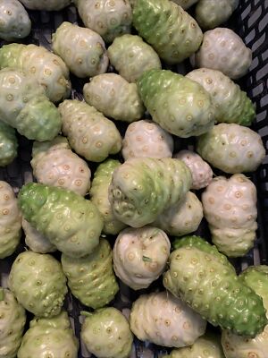 Noni Fruit (2 LBS) the actual fruit