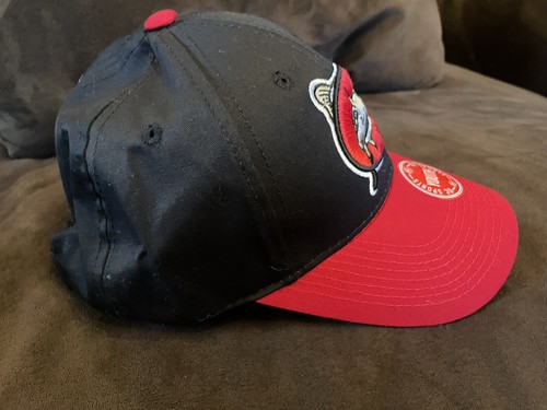 NEW YOUTH CAROLINA MUDCATS MINOR LEAGUE BASEBALL TEAM HAT NWT - Picture 7 of 9