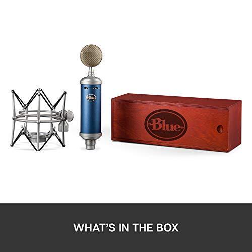 Blue Microphones Bluebird SL Studio Condenser Microphone