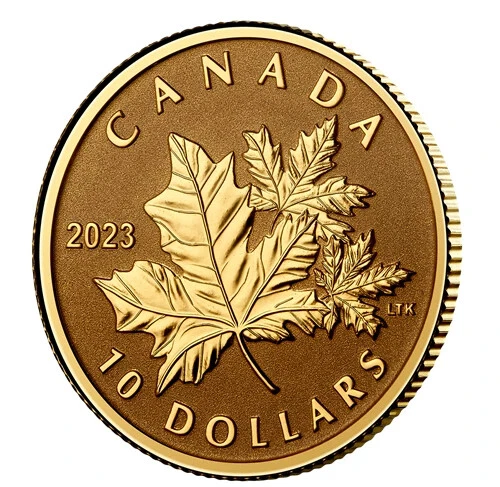 🇨🇦 2023 Canada 1/20 oz. Pure Gold Coin  - Everlasting Maple Leaf 🍁 - Image 4 of 4