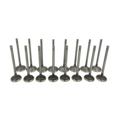 Kit Valvole Aspirazione e Scarico Motore Per Chevy Equinox GMC Terrain 2007-2017...